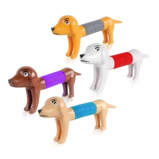 Cachorro Tubo Fidget Toy